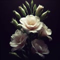 Lysianthus isolated on black background. Flowers and plants in spring. AI generated Royalty Free Stock Photo