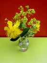 Yellow Loosestrife, lady`s mantle, yellow wall lettuce and Yellow Rose of Sharon flowers in glass vase on green table Royalty Free Stock Photo