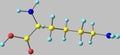 Lysine acid molecule isolated on grey