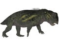 Lystrosaurus- 3D Dinosaur