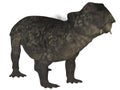Lystrosaurus- 3D Dinosaur
