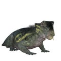 Lystrosaurus dinosaur isolated on transparent