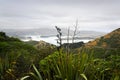 Lyttelton Harbour with Flax in the foreground, Canterbury, New Zealand Royalty Free Stock Photo