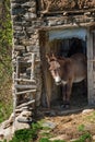 Lyubino village, Eastern Rhodopes, Bulgaria