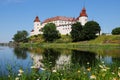 LÃÂ¤ckÃÂ¶ castle Royalty Free Stock Photo