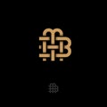 M and B letters. M and B monogram consist of inwrought gold lines, isolated on a dark background. Royalty Free Stock Photo