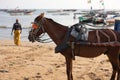 M\'Bour, Senegal, 28 december 2022, people wait for the return of fishermen to the fishing port in M\'Bour