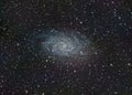 M33 galaxy from Alava in a summer day Royalty Free Stock Photo