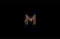 M letter linear shape luxury flourishes ornament logotype