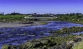 Te Rewa Rewa Bridge