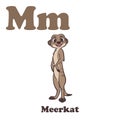 M for Meerkat