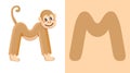 M is for Monkey. Letter M. Monkey, cute illustration. Animal alphabet.