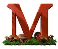 M is for mushroom