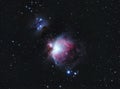 M42 Nebula in constellation Orion