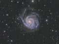 M101 Pinwheel Galaxy