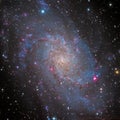 M33 Pinwheel Galaxy