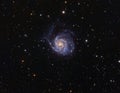 M101 Pinwhell Galaxy Royalty Free Stock Photo