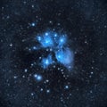 M45, Pleiades cluster or the seven sisters Royalty Free Stock Photo