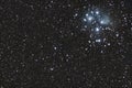 M45 - Pleiades Royalty Free Stock Photo
