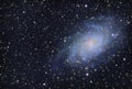 M33 Triangulum Spiral Galaxy in the constellation Triangulum Royalty Free Stock Photo