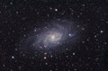 M33 Galaxy in Triangulum constellation. Royalty Free Stock Photo