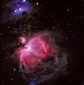 M42 Orion Nebula Royalty Free Stock Photo