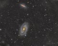 M81 and M82