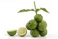 Ma-krut thai name or Kaffir lime or leech lime or Mauritius Papeda or Bergamot. (Citrus hystrix DC.) Rutaceae.