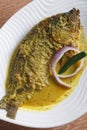 Maacher jhol or light fish curry from bengal Royalty Free Stock Photo