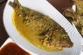 Maacher jhol or light fish curry from bengal Royalty Free Stock Photo