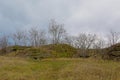 Maarjamae cliff with moss and bare trees