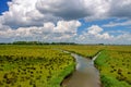 Creeks with water and wide views in the National Park the Biesbosch in the Netherlands. Royalty Free Stock Photo