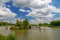 Creeks with water and groves in the Biesbosch National Park in the Netherlands.