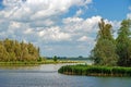 Creeks with water, trees and groves in the Biesbosch National Park in the Netherlands.