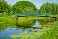 The green heart of the Randstad in the Netherlands.