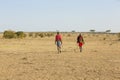 Maasai Askari Royalty Free Stock Photo