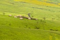 Maasai boma huts enclosure onBurr Marigold near Lake Magadi at Ngorongoro Crater in Tanzania, Africa