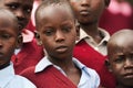 Maasai Children in Kenya