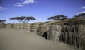 Maasai Dung Huts