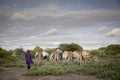 Maasai lady traveling with donkeys to fetch water