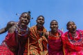 Maasai Mara man showing traditional Maasai jumping dance Royalty Free Stock Photo