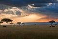 Maasai Mara sunset landscape Royalty Free Stock Photo