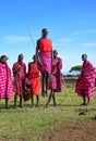 Maasai men in traditional colorful clothing showing traditional Maasai jumping dance Royalty Free Stock Photo