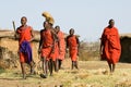 Maasai warrior walk in traditional clothes.