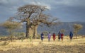 Maasai warriors at a huge baobab tree