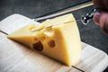 Maasdam cheese is cut on a special Board for cutting Royalty Free Stock Photo