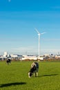 Old versus new, with a focus on the current nitrogen discussion in the Netherlands Royalty Free Stock Photo