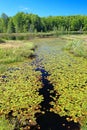 Mabel Lake Landscape Northwoods Wisconsin Royalty Free Stock Photo