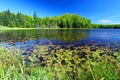 Mabel Lake Northwoods Wisconsin Royalty Free Stock Photo