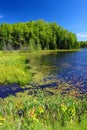 Mabel Lake Wisconsin Royalty Free Stock Photo